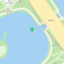 슬쩍 | 석촌호수 벚꽃 평일 저녁 롯데월드 잠실 야경 슬쩍 구경한 후기