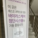 콜링포트(Calling Port) | 울산 콜링포트 CALLING PORT 카페 후기