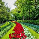 한국의 크기와 네델란드(Netherlands) 이미지