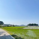 부여농부의집 이미지