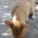 원투쓰리 PC 이미지