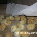 자립농장 이미지