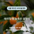 마서농장 | [스페셜티 커피 원두 추천] 8월 무조건 사야될 원두_콜롬비아 캄포 카보닉 마서레이션