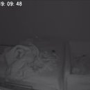 군포국민체육센터 이미지