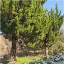 은혜재가복지센터 이미지