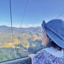 전망대오토카 이미지