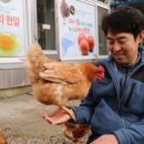 양심농장 이미지