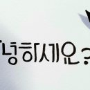 다다미디어