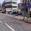 대구 고양이 미용 밀꼬냥 이미지