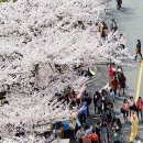 신정중앙로 이미지