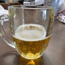 한맥 맥주 크리미 거품기 트레이더스 가격 정보