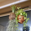 우리집을 부탁해 이미지