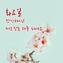 스타칼리 이미지