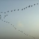 만나(Manna)