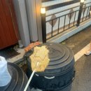 60계 광주금호점 이미지