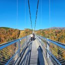 정오자원 | 유메 오츠리바시 (고코노에 꿈의 대현수교) 위치, 가는법, 입장료, 운영시간, 주차, 전망대 이용 후기