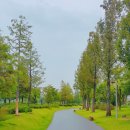 순천만국가정원(서문) 이미지