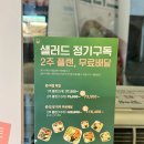 🎀 구산역 샐러더스 :: 건강한 샐러드 포케 맛집 (비건 다이어트식단 정기배달, 포인트 혜택)