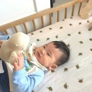 아기 돌 사진 스튜디오, 파주 여랑스튜디오