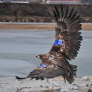 한국동물번식센타 이미지