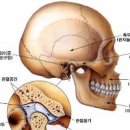 턱이 아파요? 이유 턱이 아플 때 턱관절 통증 염증 소리 원인 는? 이미지