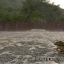 물의 기억 이미지