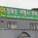 가연엔틱