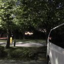 현대로1029번길 이미지