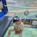 자산공원 충무정옆 | 여수 해상케이블카 일반 vs 크리스탈 고민된다면? 가격 차이와 솔직 탑승 후기