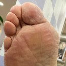 피네(P-ne) 이미지