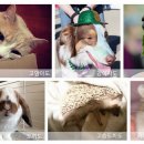 케이스메이커 이미지