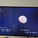 인간극장 강수씨의 가을은 참 예쁘다 이미지