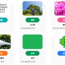폴리미래주식회사 네이버블로그