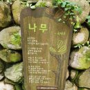 황토메타길 | 세종 금강자연휴양림 금강수목원 입장료, 감면 혜택, 황토메타길 식물원 다녀온 후기