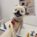 사랑옵개 이미지