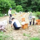 피끝마을 이미지