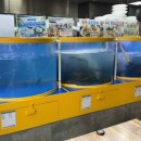 탐나종합어시장 미사역점 이미지