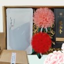 제주사랑한의원 이미지