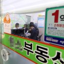 서울합동공인중개사사무소 뉴시스