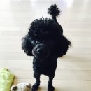 먹물 이미지