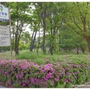 해반공원　 이미지
