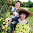 김연화농장 이미지