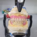 다윗치과기공소 이미지