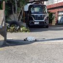 영오PC | [일본에서의 두 달] +넷여섯 19-11-01 다케하라