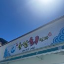 고려회센타