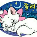 썬캔들