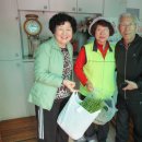 미나리경로당 이미지