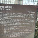 대석리 지석묘군 네이버블로그