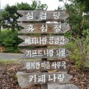 정판석농장 Daum카페