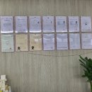 용인대 범 유도클럽 이미지